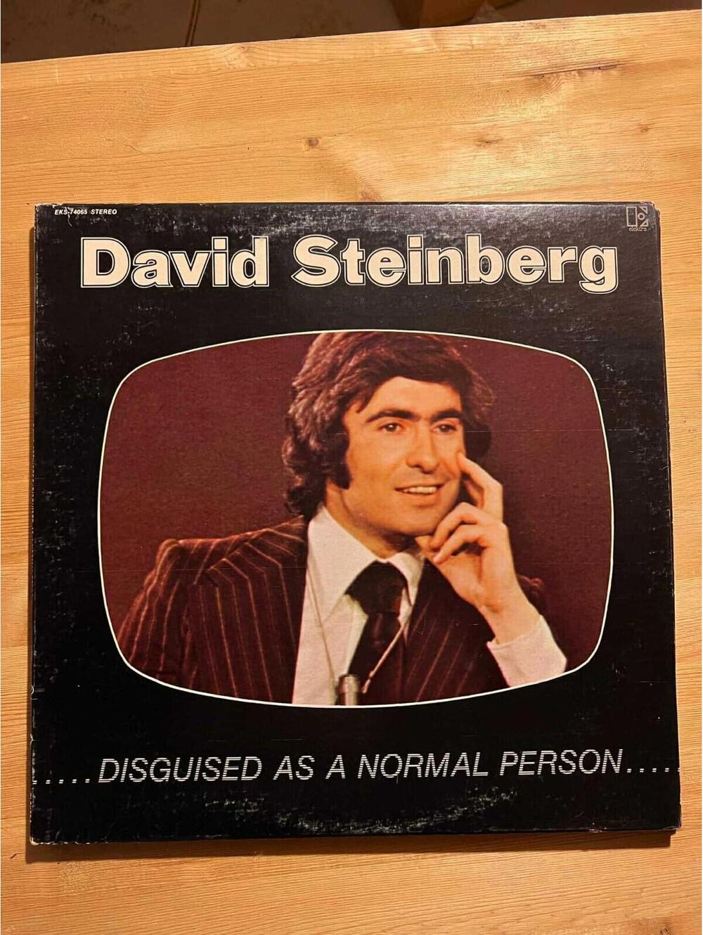 David Steinberg – Disguised As A Normal Person Vintage 33rpm VG+ AB24